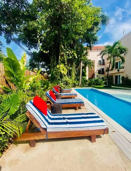 Departamento En El Centro De Playa Del Carmen Excelente Ubicacion Internet Fibra Optica 아파트