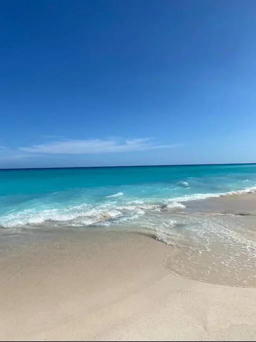 Departamento En El Centro De Playa Del Carmen Excelente Ubicacion Internet Fibra Optica 아파트 0*,  멕시코