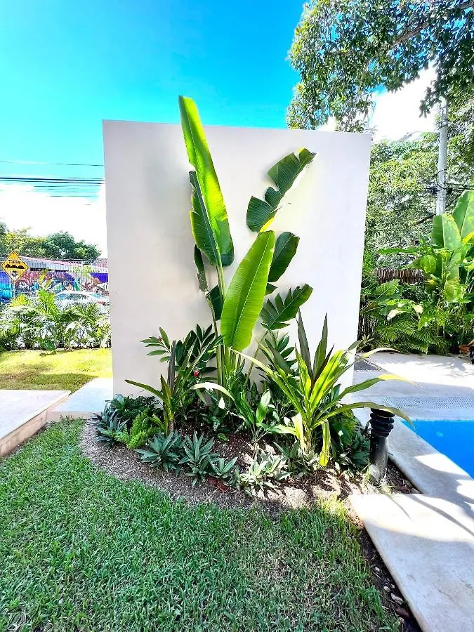 Departamento En El Centro De Playa Del Carmen Excelente Ubicacion Internet Fibra Optica Apartment