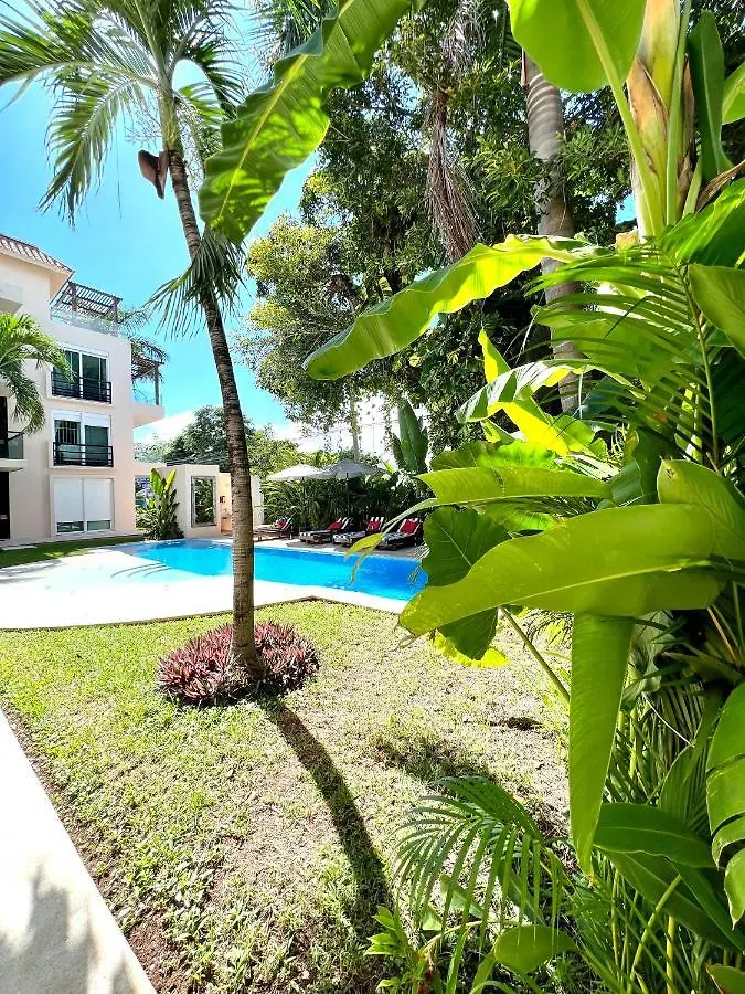 Departamento En El Centro De Playa Del Carmen Excelente Ubicacion Internet Fibra Optica Apartment